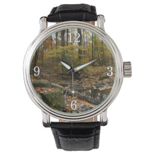 Herfst Creek met reflectie op Laurel Hill Park Horloge