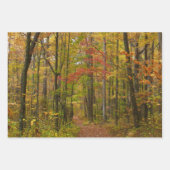 Herfst Creek met reflectie op Laurel Hill Park Inpakpapier Vel (Voorkant 2)