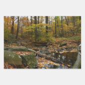 Herfst Creek met reflectie op Laurel Hill Park Inpakpapier Vel (Voorkant)