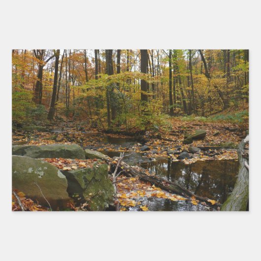 Herfst Creek met reflectie op Laurel Hill Park Inpakpapier Vel (Voorkant)