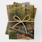 Herfst Creek met reflectie op Laurel Hill Park Inpakpapier Vel (In situ)