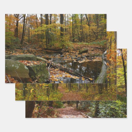 Herfst Creek met reflectie op Laurel Hill Park Inpakpapier Vel (Set)
