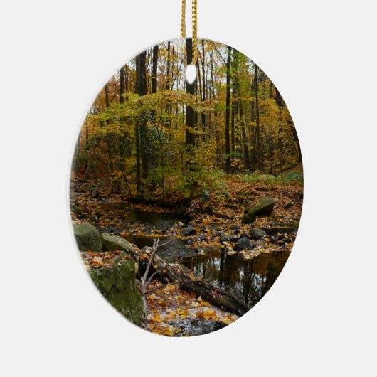 Herfst Creek met reflectie op Laurel Hill Park Keramisch Ornament (Rechts)