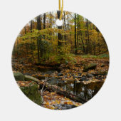Herfst Creek met reflectie op Laurel Hill Park Keramisch Ornament (Voorkant)
