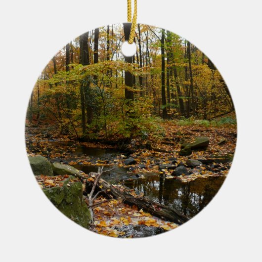 Herfst Creek met reflectie op Laurel Hill Park Keramisch Ornament (Voorkant)