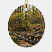 Herfst Creek met reflectie op Laurel Hill Park Keramisch Ornament (Links)