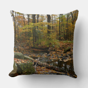 Herfst Creek met reflectie op Laurel Hill Park Kussen