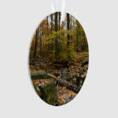 Herfst Creek met reflectie op Laurel Hill Park Ornament (voorkant)