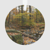 Herfst Creek met reflectie op Laurel Hill Park Ornament (achterkant)