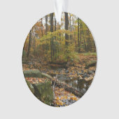 Herfst Creek met reflectie op Laurel Hill Park Ornament (voorkant)