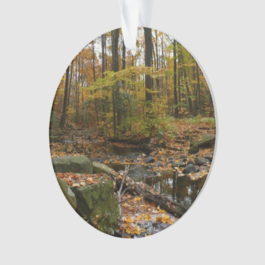 Herfst Creek met reflectie op Laurel Hill Park Ornament (voorkant)
