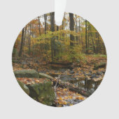 Herfst Creek met reflectie op Laurel Hill Park Ornament (voorkant)