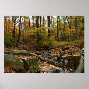 Herfst Creek met reflectie op Laurel Hill Park Poster