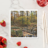 Herfst Creek met reflectie op Laurel Hill Park Servetten (Insitu)