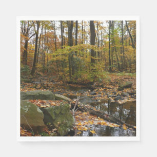 Herfst Creek met reflectie op Laurel Hill Park Servetten