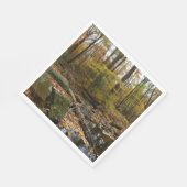 Herfst Creek met reflectie op Laurel Hill Park Servetten (Hoek)