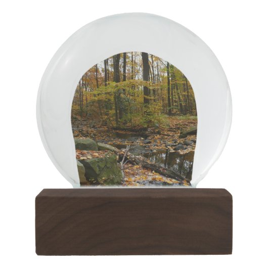 Herfst Creek met reflectie op Laurel Hill Park Sneeuwbol (Achterkant)