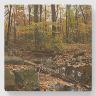 Herfst Creek met reflectie op Laurel Hill Park Stenen Onderzetter