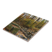 Herfst Creek met reflectie op Laurel Hill Park Tegeltje (Zijkant)