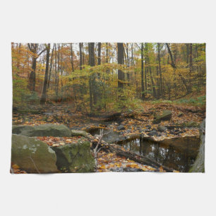 Herfst Creek met reflectie op Laurel Hill Park Theedoek