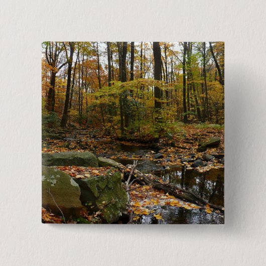 Herfst Creek met reflectie op Laurel Hill Park Vierkante Button 5,1 Cm (Voorkant)