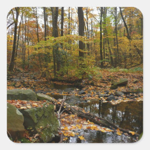 Herfst Creek met reflectie op Laurel Hill Park Vierkante Sticker