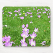 Herfst Crocus in Engeland Muismat (Voorkant)