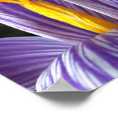 Herfst Crocus - Poster (Hoek)