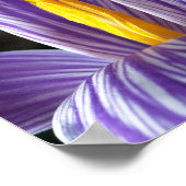 Herfst Crocus - Poster (Hoek)