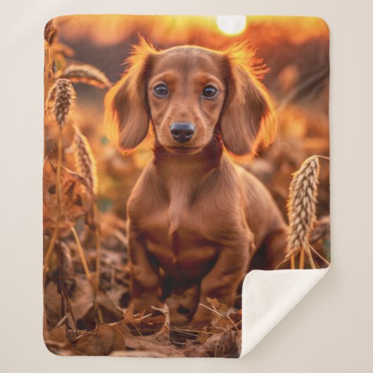 Herfst Dachshund Pup Sherpa Deken (Voorkant)