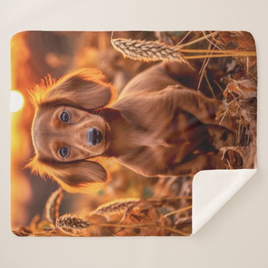 Herfst Dachshund Pup Sherpa Deken (Voorkant (horizontaal))