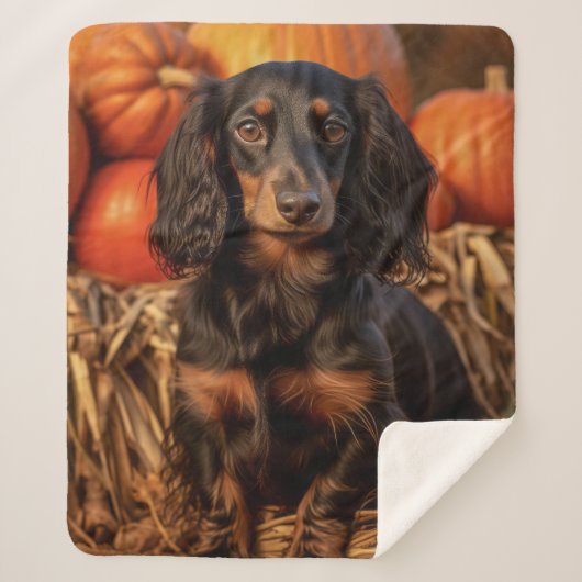 Herfst Dachshund Sherpa Deken (Voorkant)