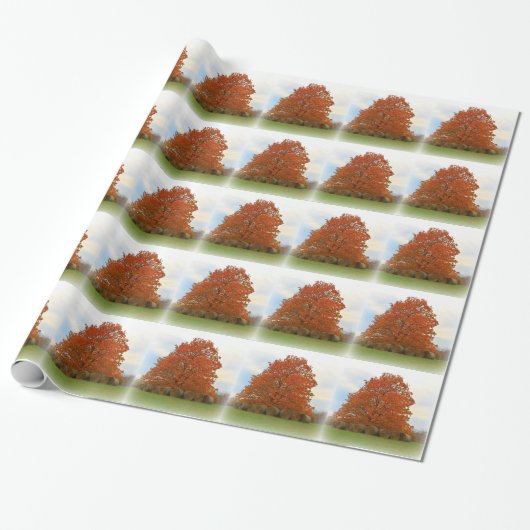 herfst dag cadeaupapier (Uitgerold)