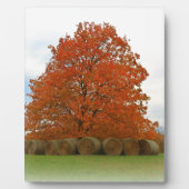 herfst dag fotoplaat (Voorkant)