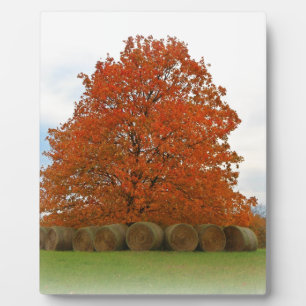 herfst dag fotoplaat