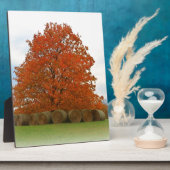 herfst dag fotoplaat (Zijkant)