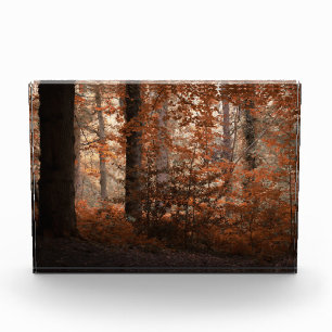 Herfst Dageraad Fotoblokken