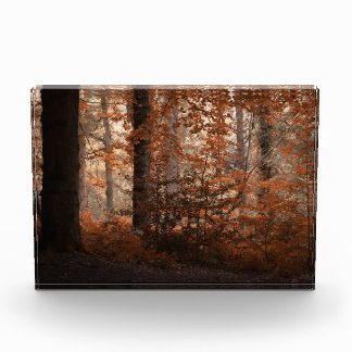 Herfst Dageraad Fotoblokken