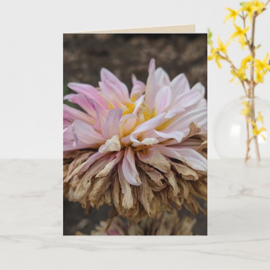 Herfst Dahlia Blank Wenskaart Kaart (Gele Bloem)