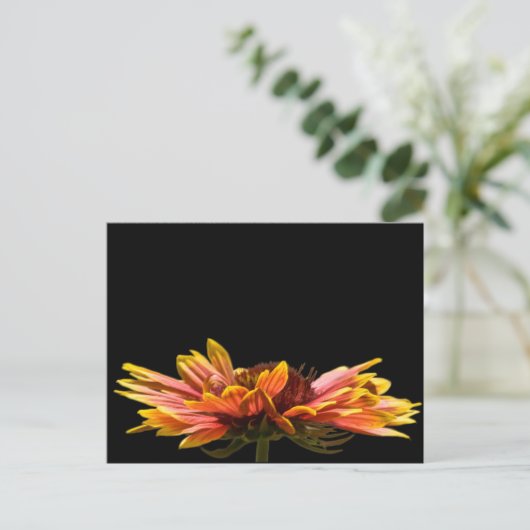 Herfst Daisy Flower Briefkaart (Staand voorkant)