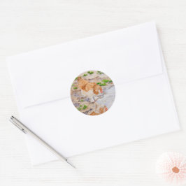 Herfst de Kip Stickers
