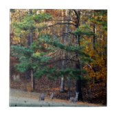 Herfst Deer in de afstand Tegeltje (Voorkant)