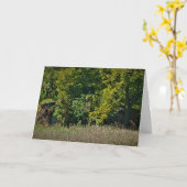 "Herfst Deken" Pasen Kaart (Gele Bloem)