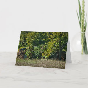 "Herfst Deken" Pasen Kaart