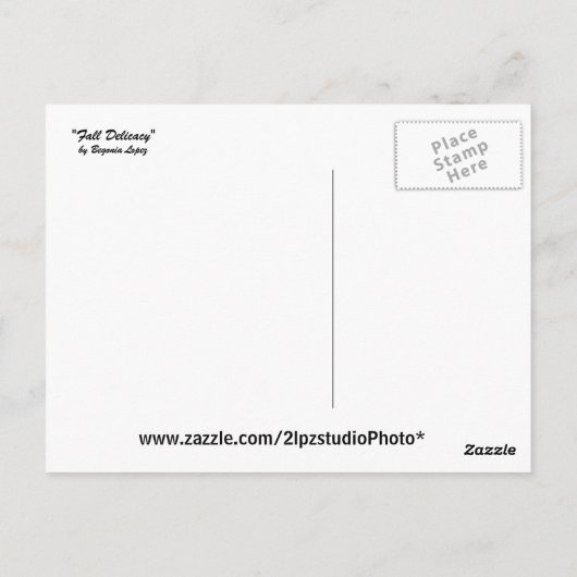 Herfst Delicacy Briefkaart (Achterkant)
