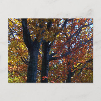 Herfst Delicacy Briefkaart