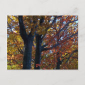 Herfst Delicacy Briefkaart (Voorkant)