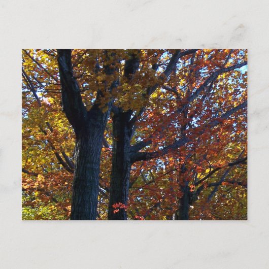 Herfst Delicacy Briefkaart (Voorkant)