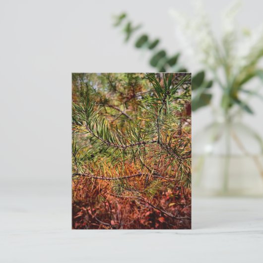 Herfst Dennennaalden  Briefkaart (Staand voorkant)