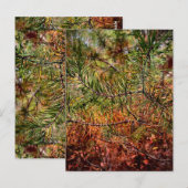 Herfst Dennennaalden  Briefkaart (Voorkant / Achterkant)